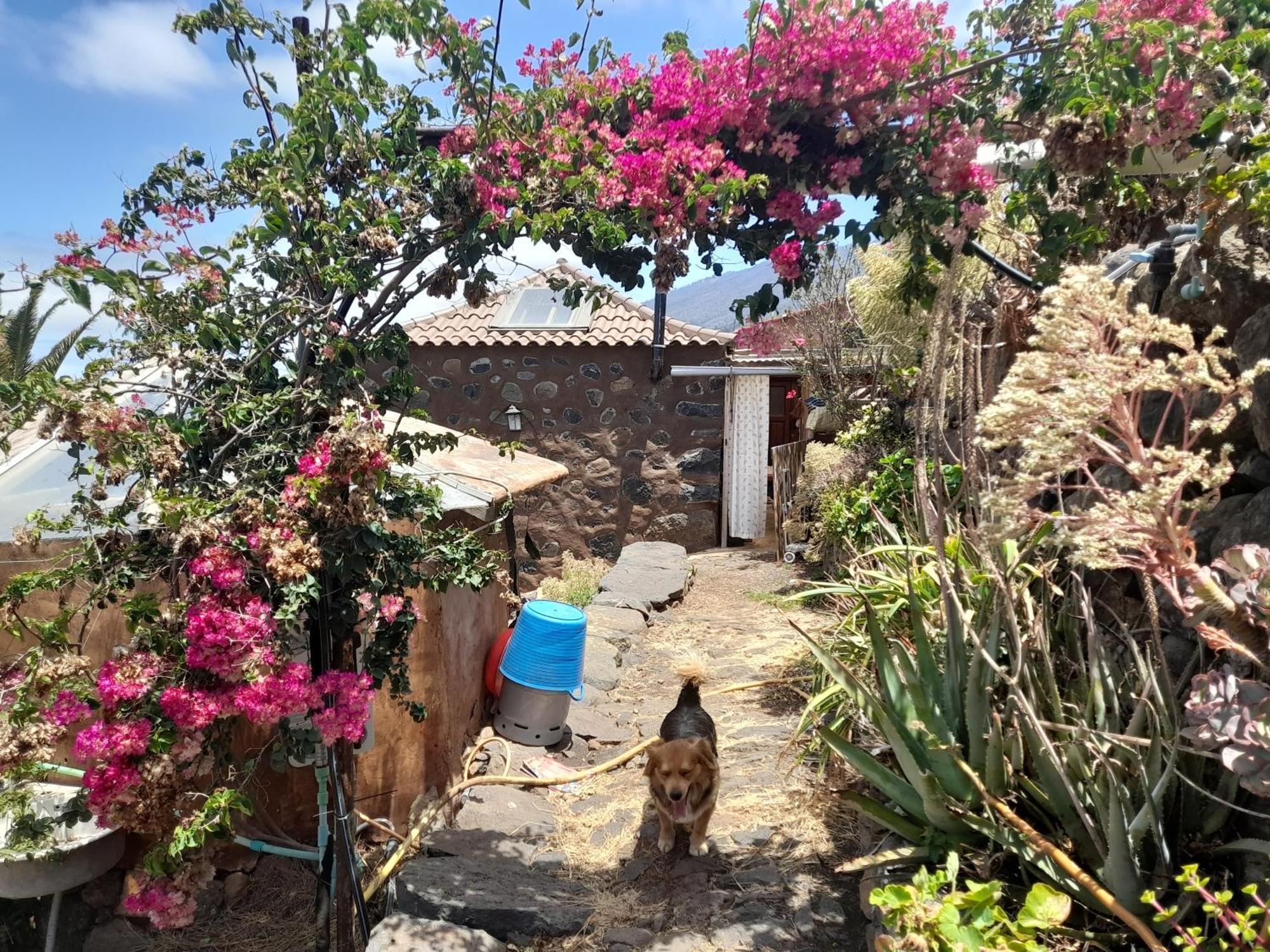 Abracaribes Bed & Breakfast Arecida Ngoại thất bức ảnh