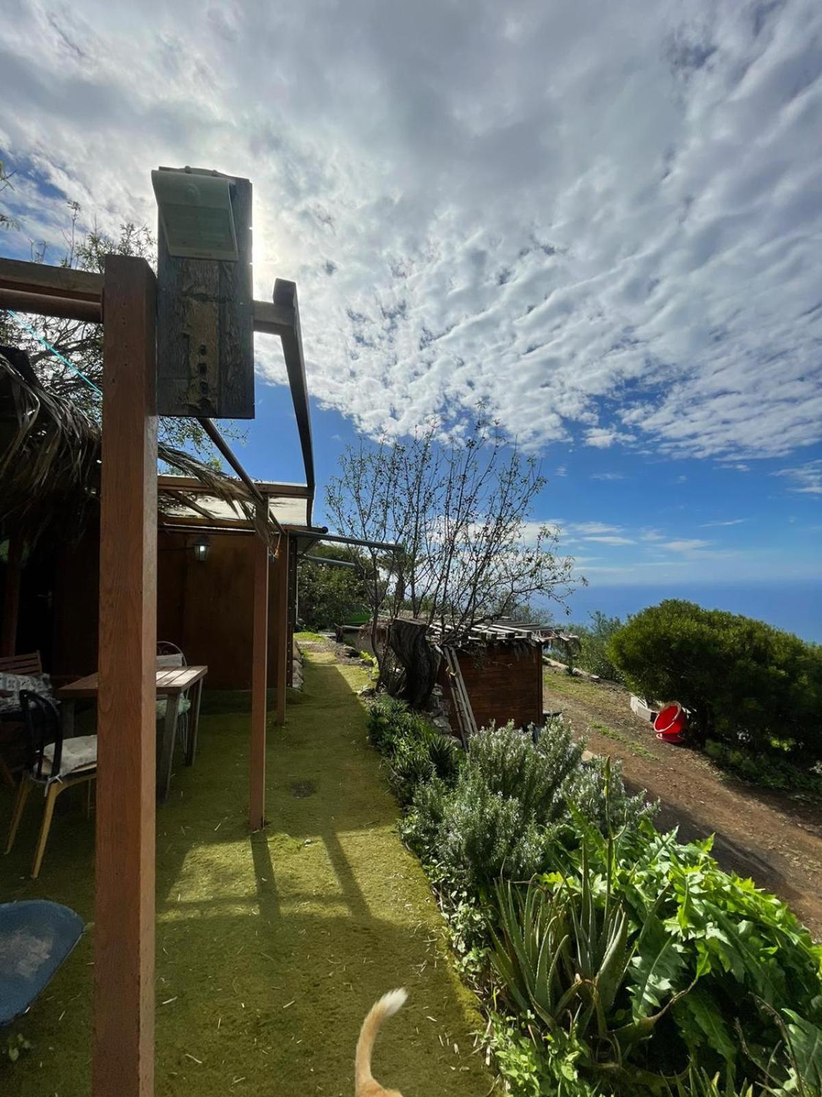 Abracaribes Bed & Breakfast Arecida Ngoại thất bức ảnh
