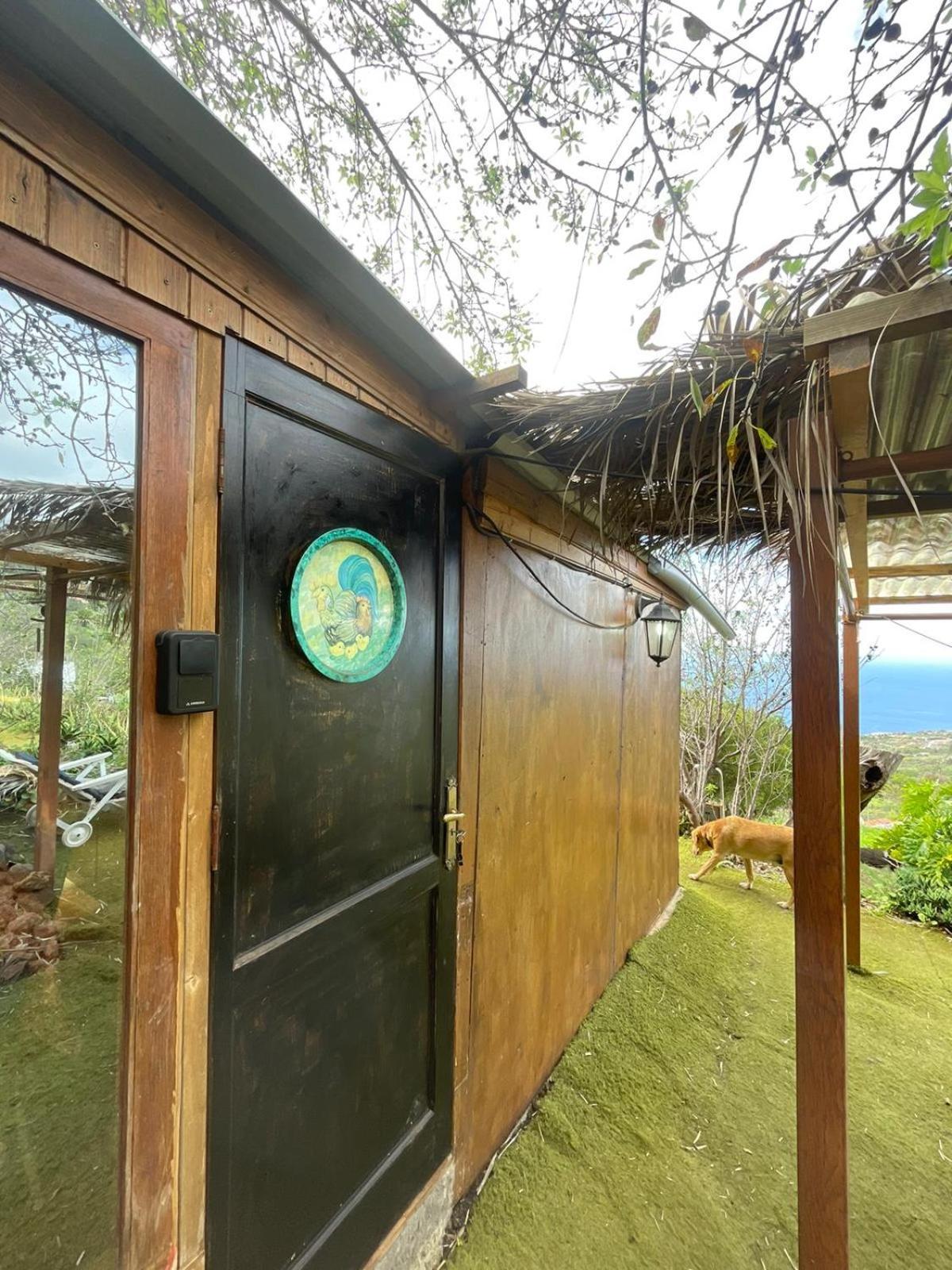 Abracaribes Bed & Breakfast Arecida Ngoại thất bức ảnh